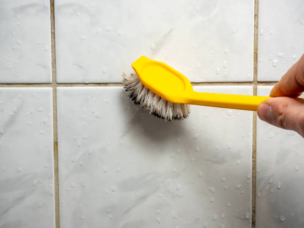 Best Mold Testing  in East Moriches, NY