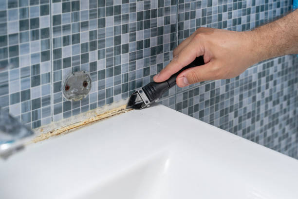 Best Mold Damage Repair  in East Moriches, NY